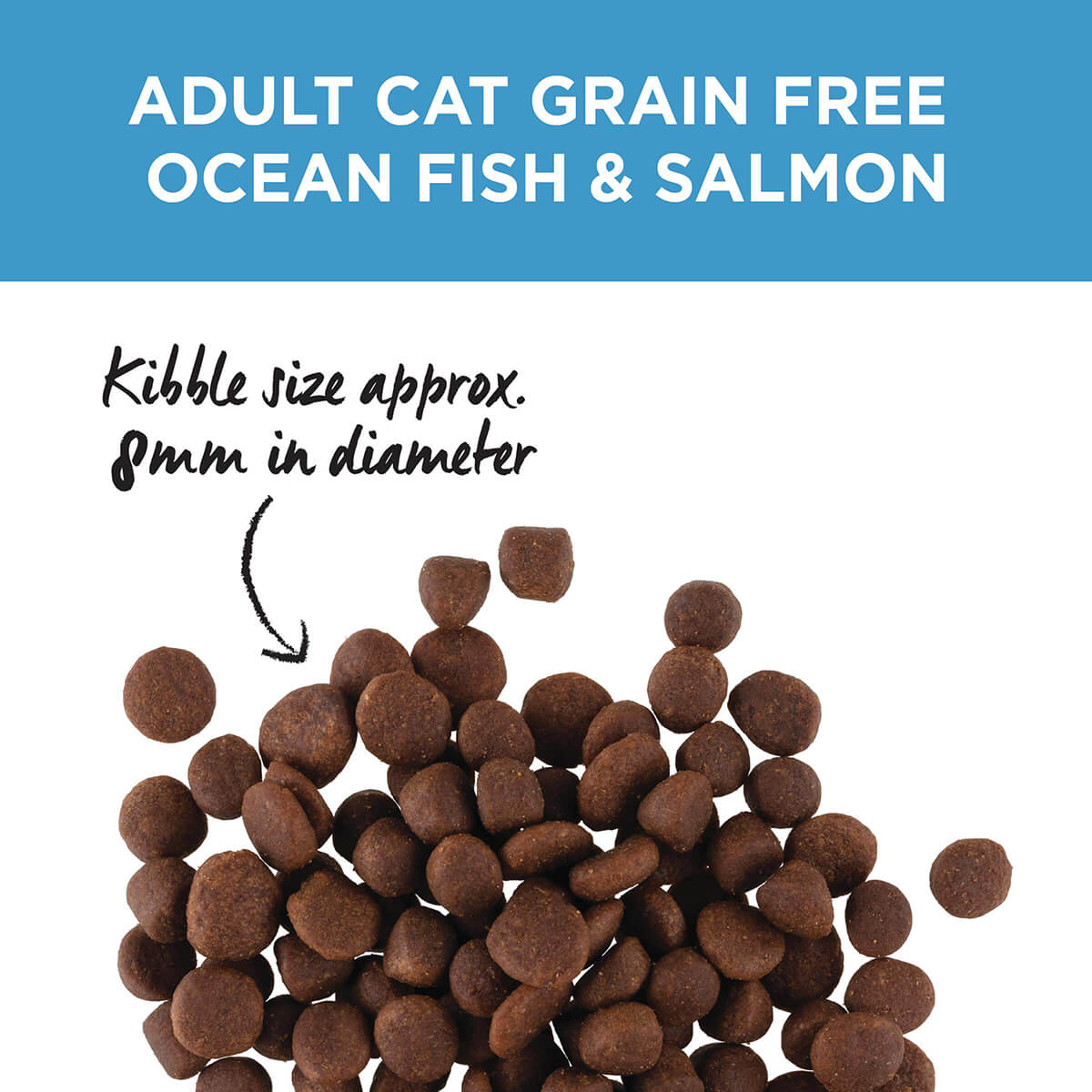 Ivory Coat Grain Free Adult Ocean Fish & Salmon Dry Cat Food
