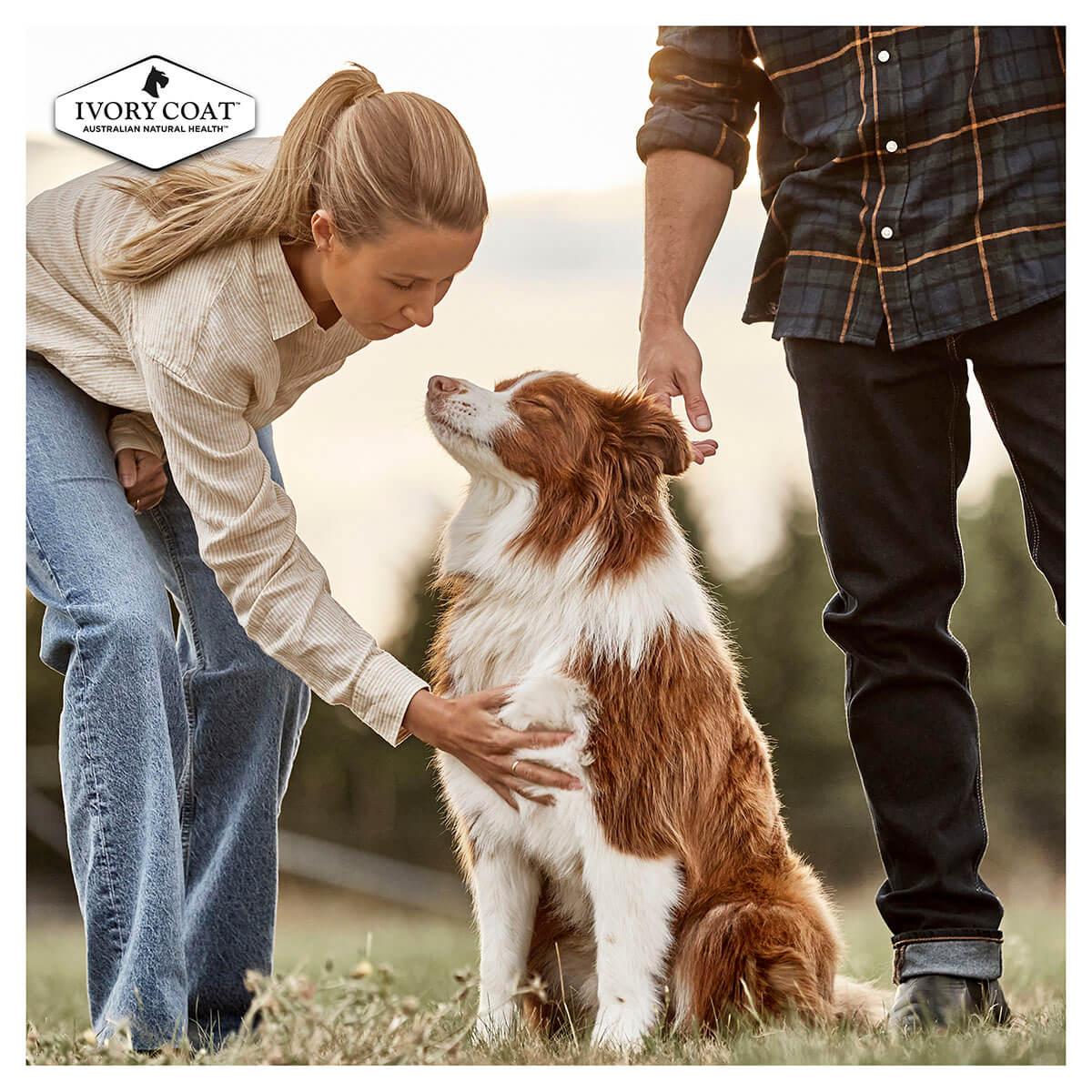 Ivory Coat Puppy Chicken Stew Grain Free Wet Dog Food