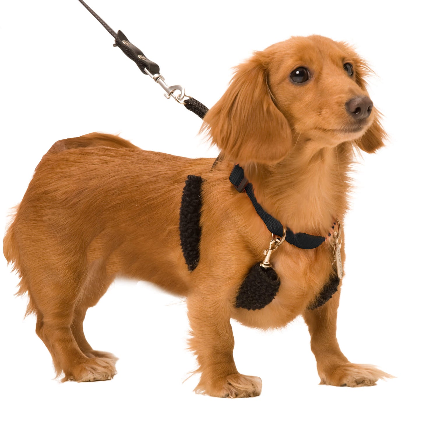 Sporn Training Halter Stop Pull Dog Harness