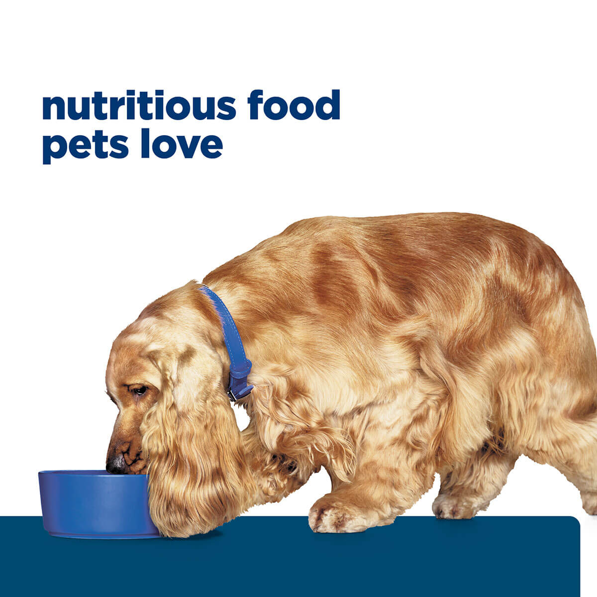 Hill's Prescription Diet Z/D Skin & Food Sensitivities Wet Dog Food