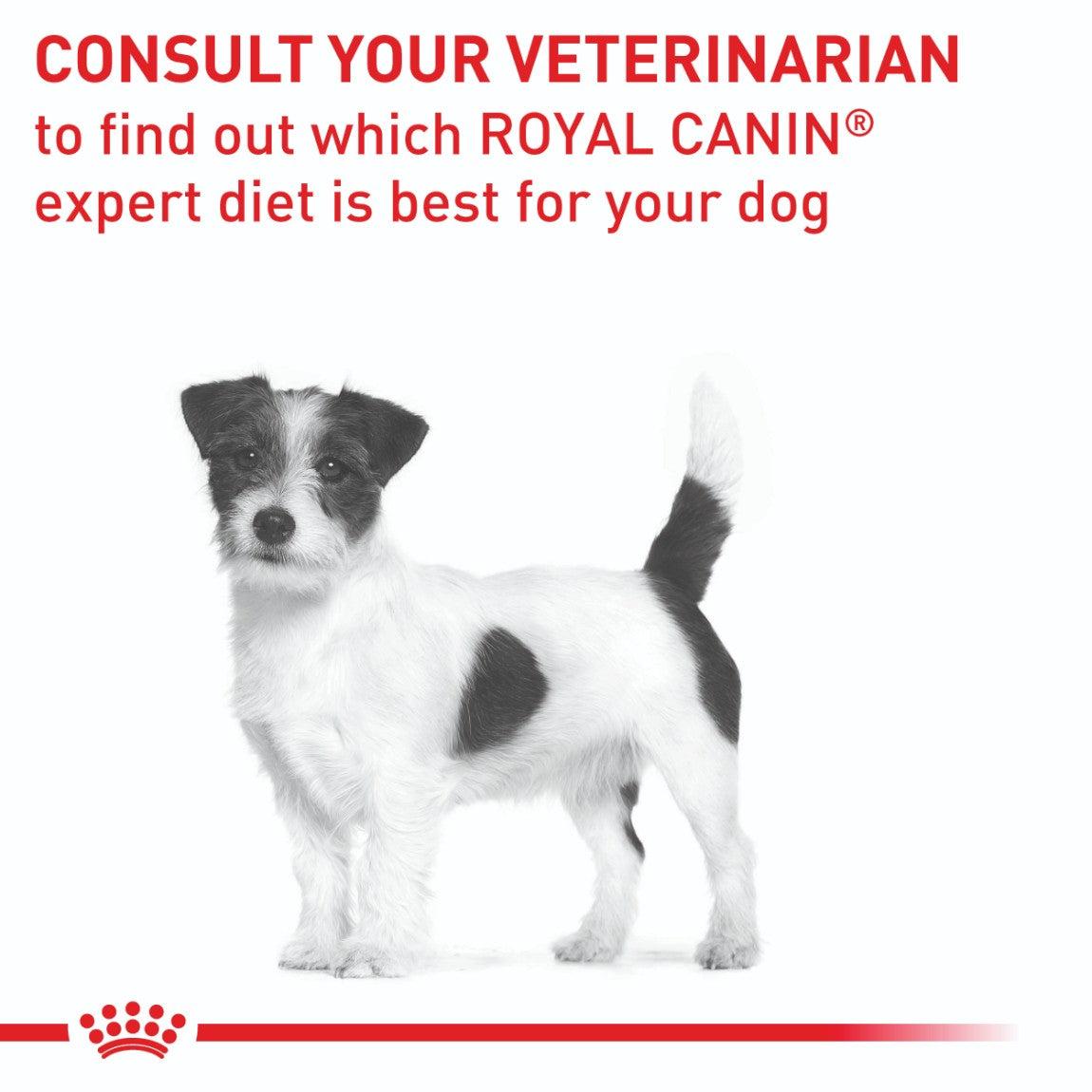 Royal Canin Expert Small Breed Dental Special Dry Dog Food