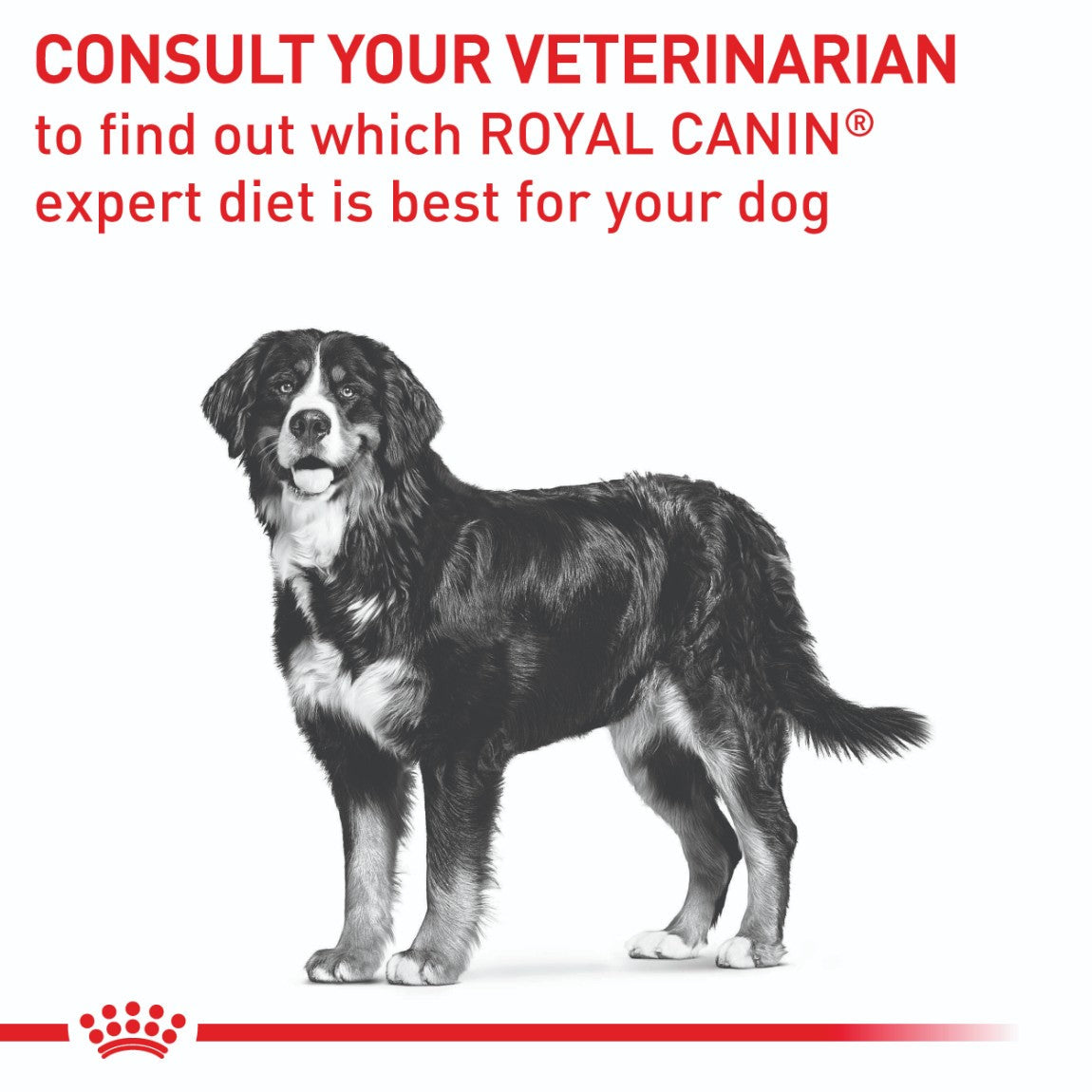 Royal Canin VET Neutered Large Breed Dry Dog Food