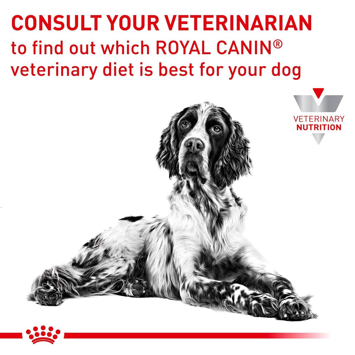 Royal Canin Veterinary Anallergenic Dry Dog Food