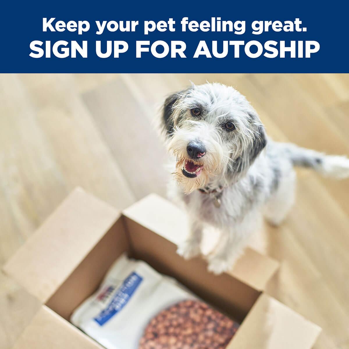 Hill's Prescription Diet W/D Multi Benefit Dry Dog Food