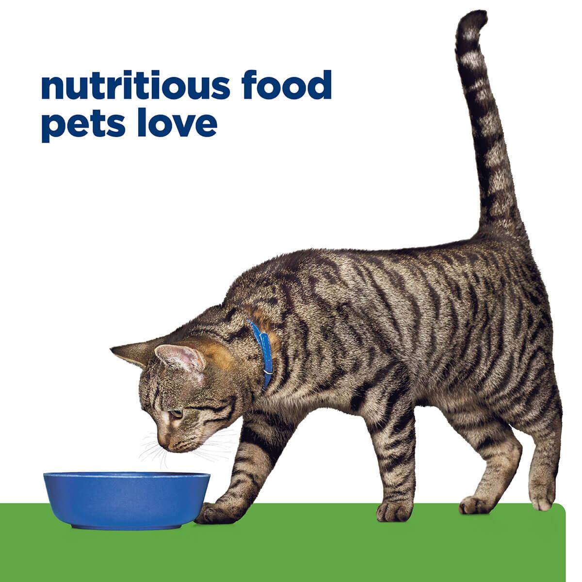 Hill's Prescription Diet Metabolic Weight Management Chicken Dry Cat Food
