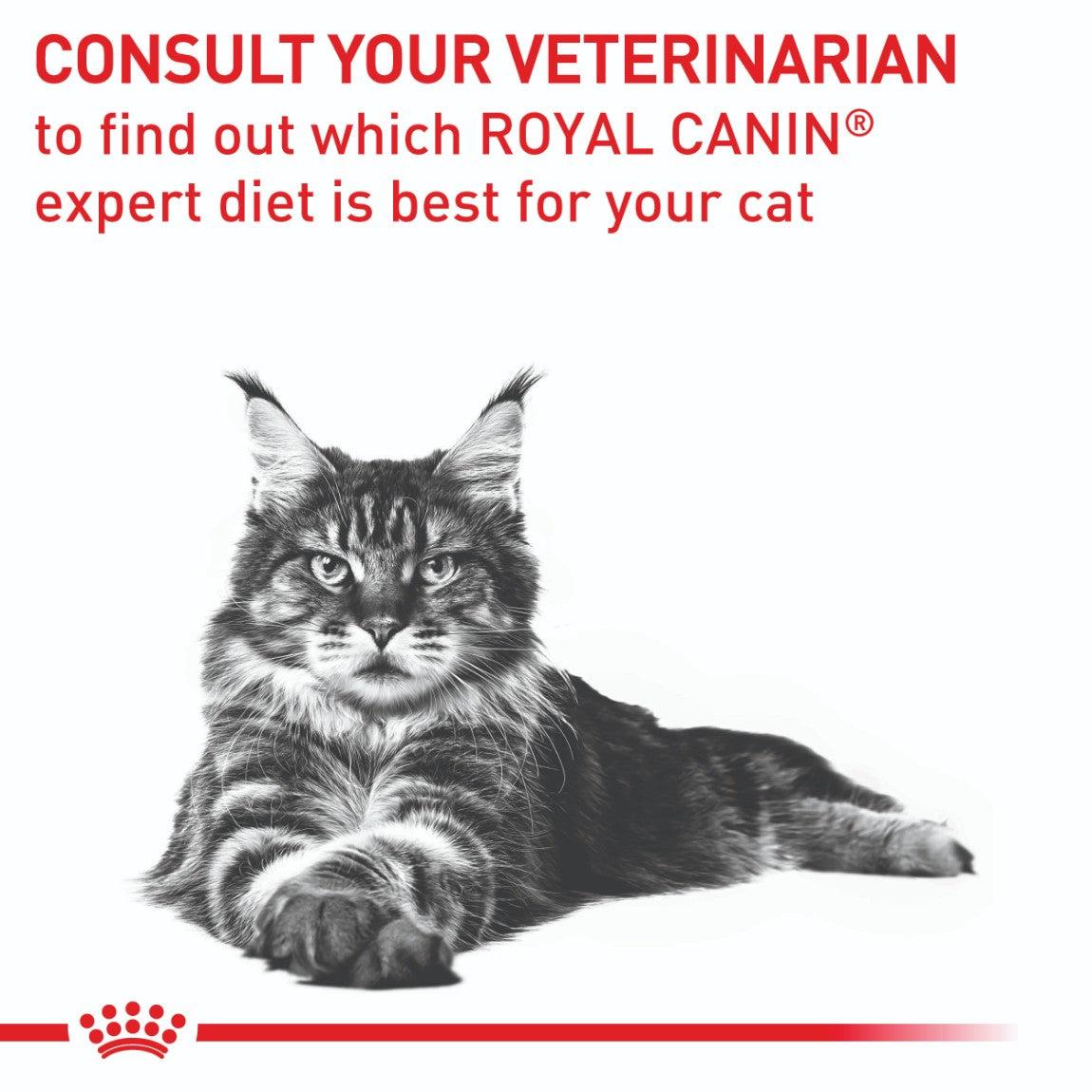 Royal Canin Veterinary Dental Dry Cat Food