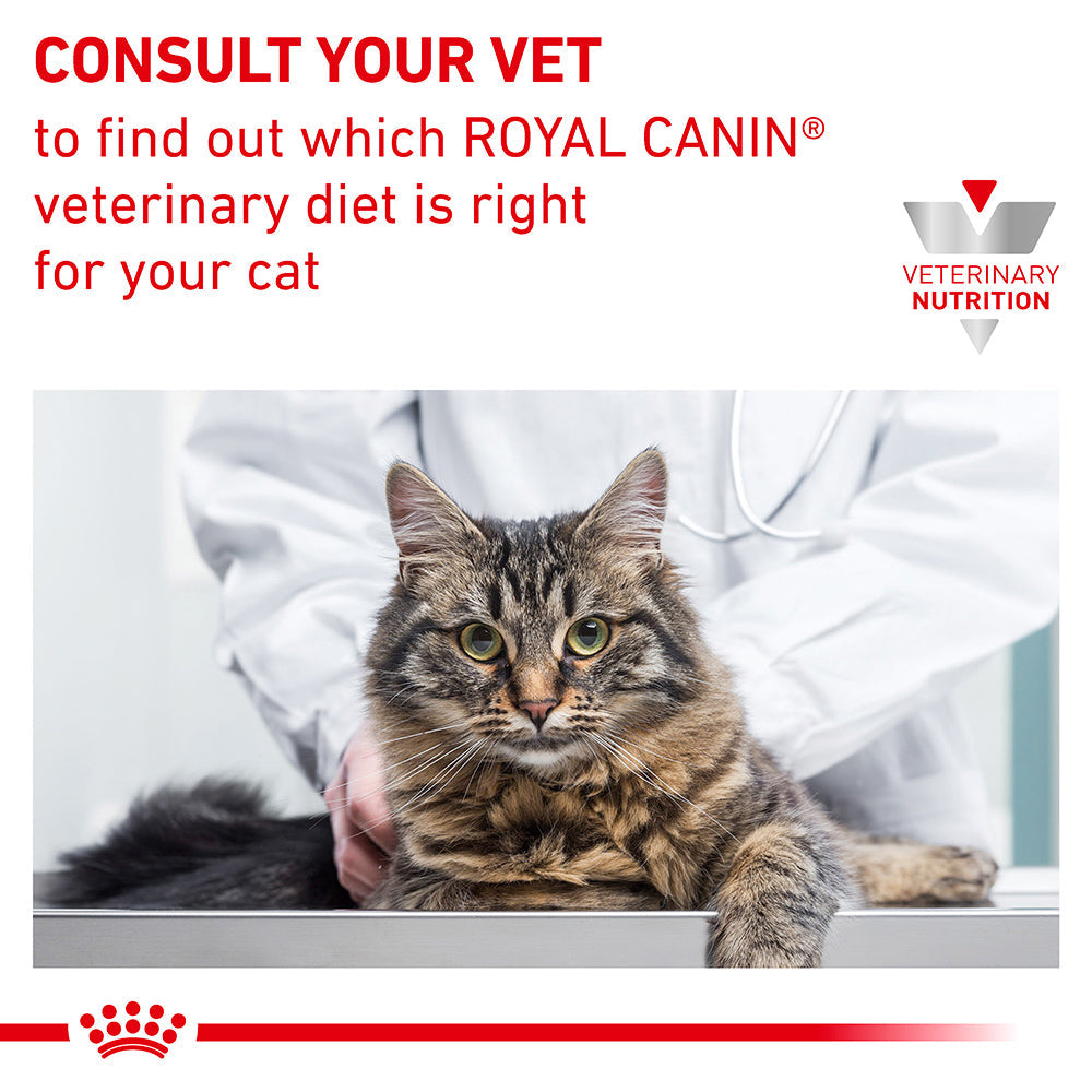Royal Canin Veterinary Renal Fish Adult Wet Cat Food Pouches