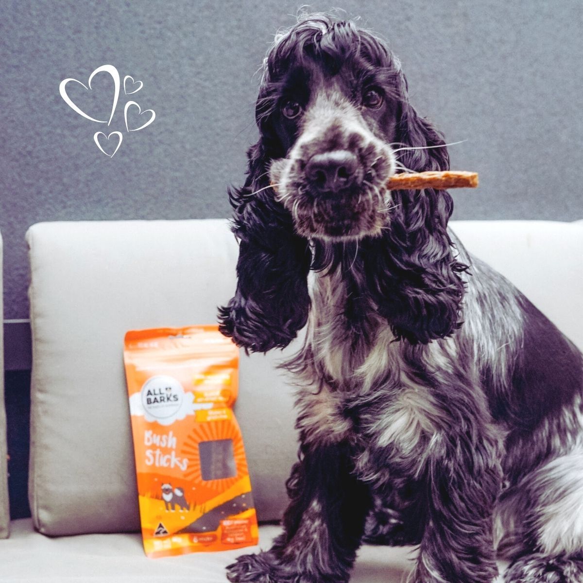 All Barks Venison & Kangaroo Bush Stick Dog Treats