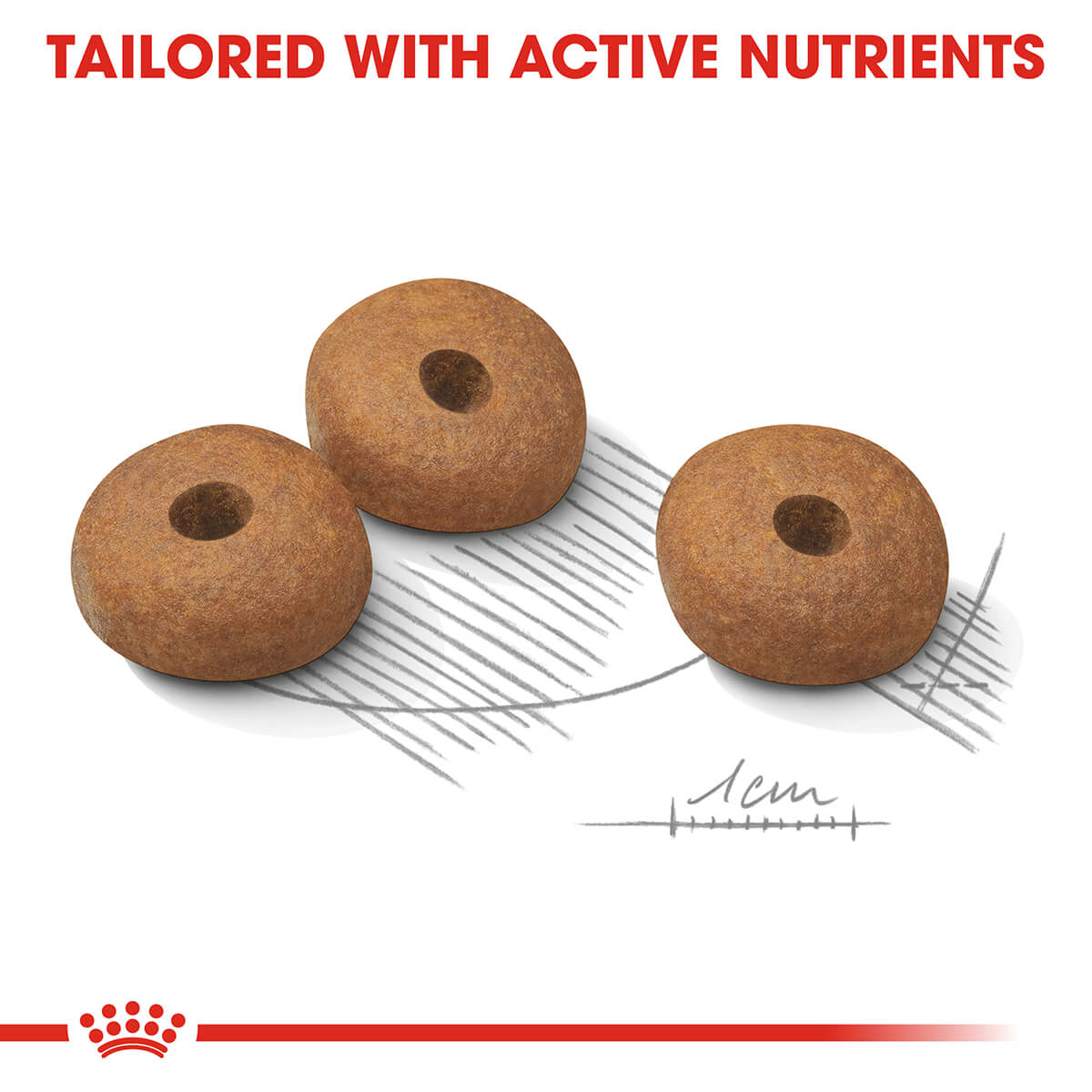 Royal Canin Mini Light Weight Care Adult Dry Dog Food