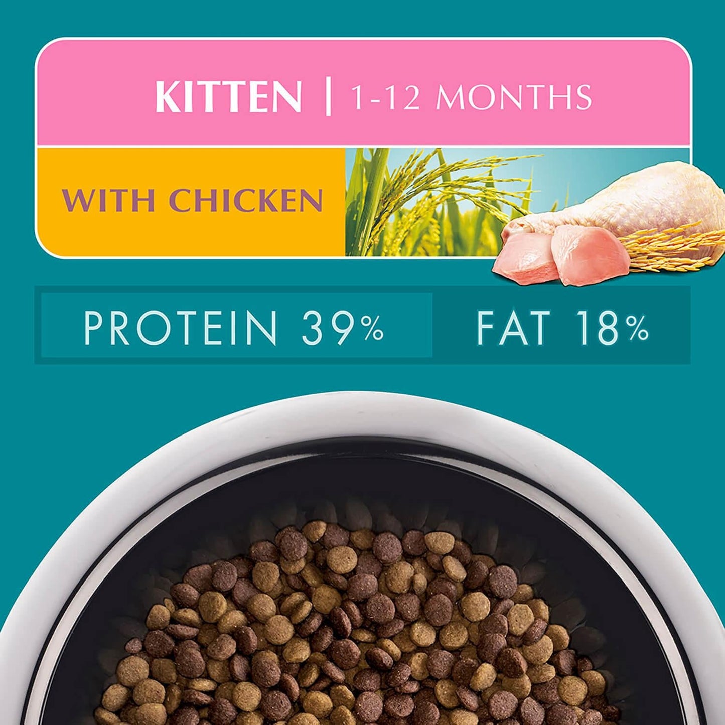 Purina One Kitten Chicken Dry Cat Food