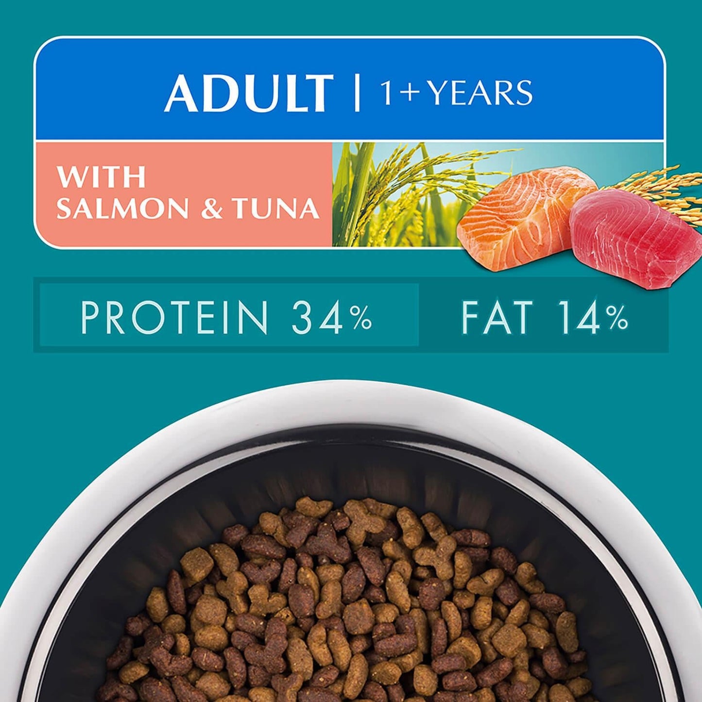 Purina One Adult Salmon & Tuna Dry Cat Food