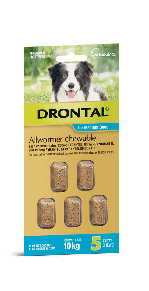 Drontal Chewable Intestinal Wormer Medium Dog