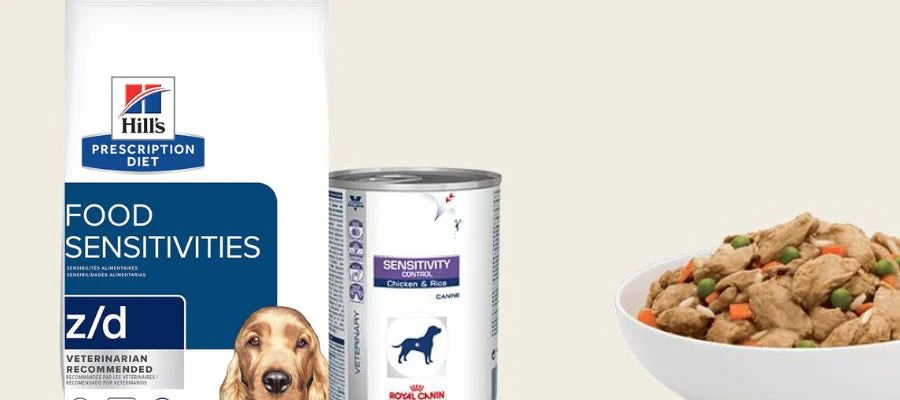 A Guide to Hypoallergenic Dog Food and Food Allergies
