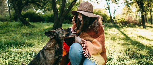 Finding the Best Dog Friendly Parks Across Sydney