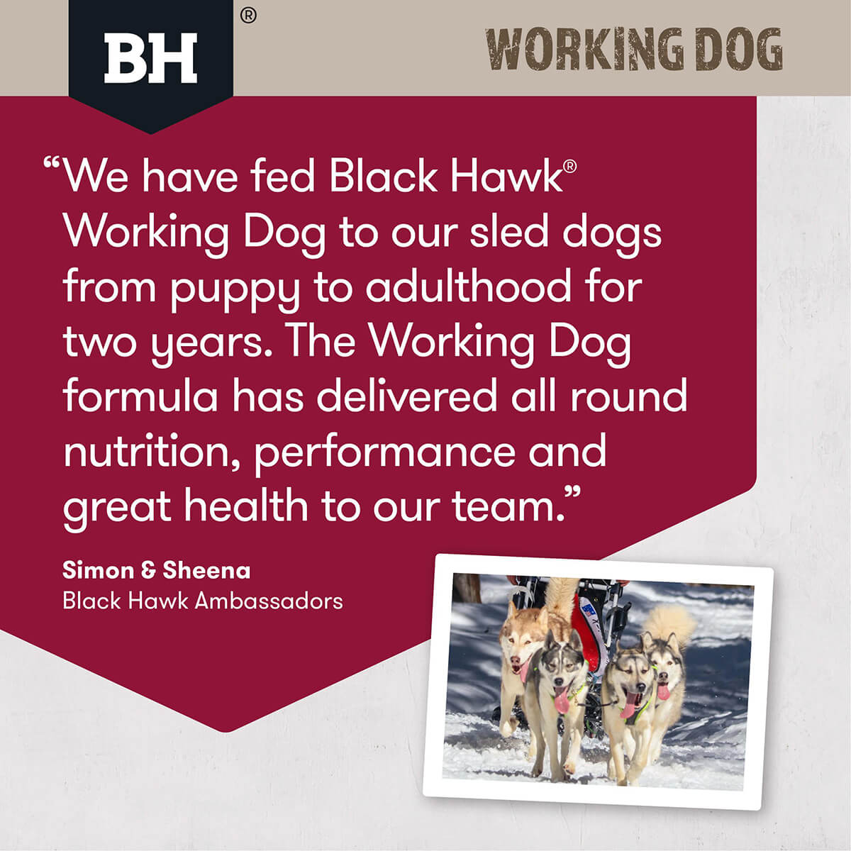Black Hawk Working Dog Adult Lamb & Beef Dry Dog Food