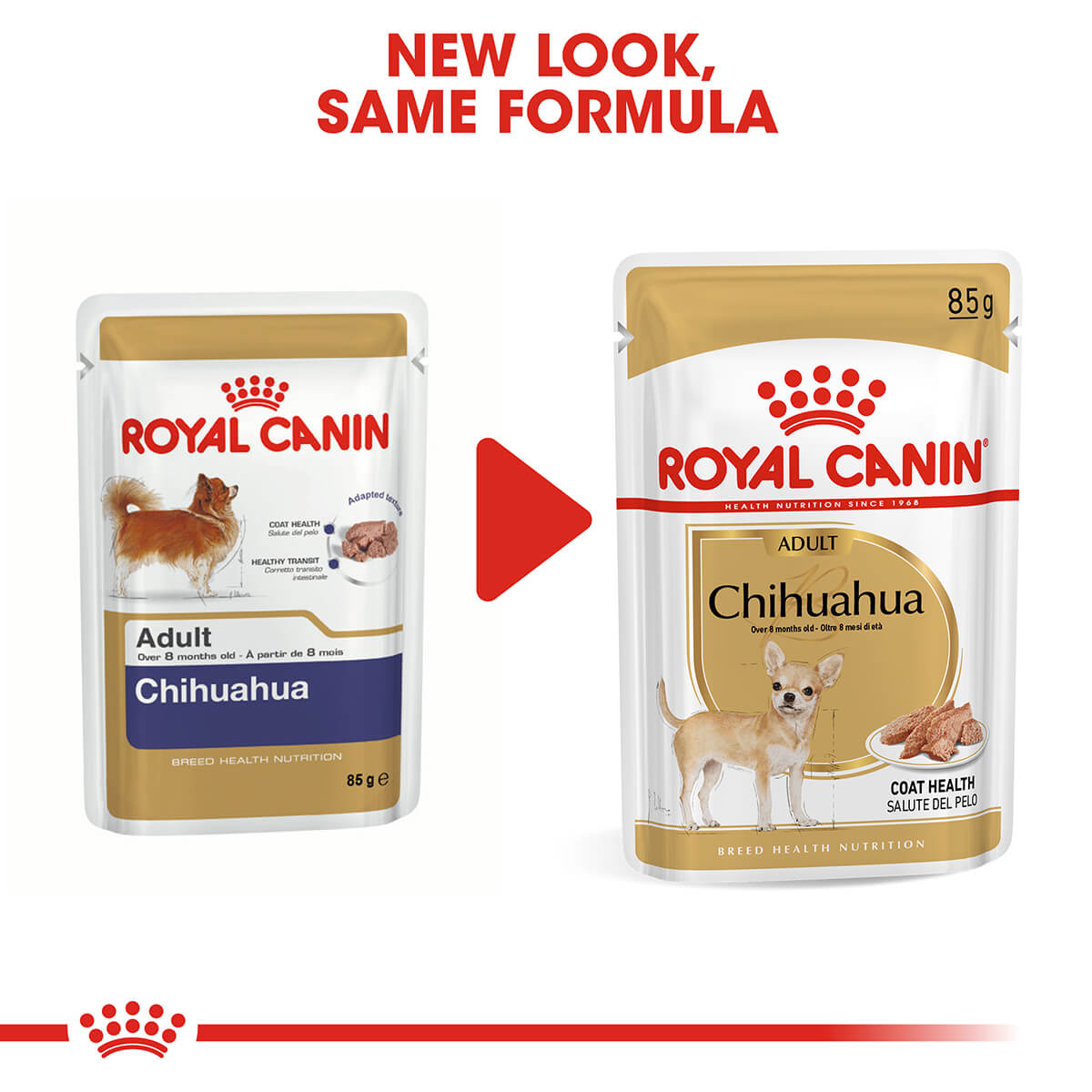 Royal Canin Chihuahua Adult Wet Dog Food