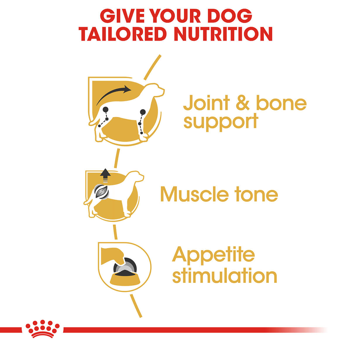 Royal Canin Dachshund Adult Wet Dog Food 85g