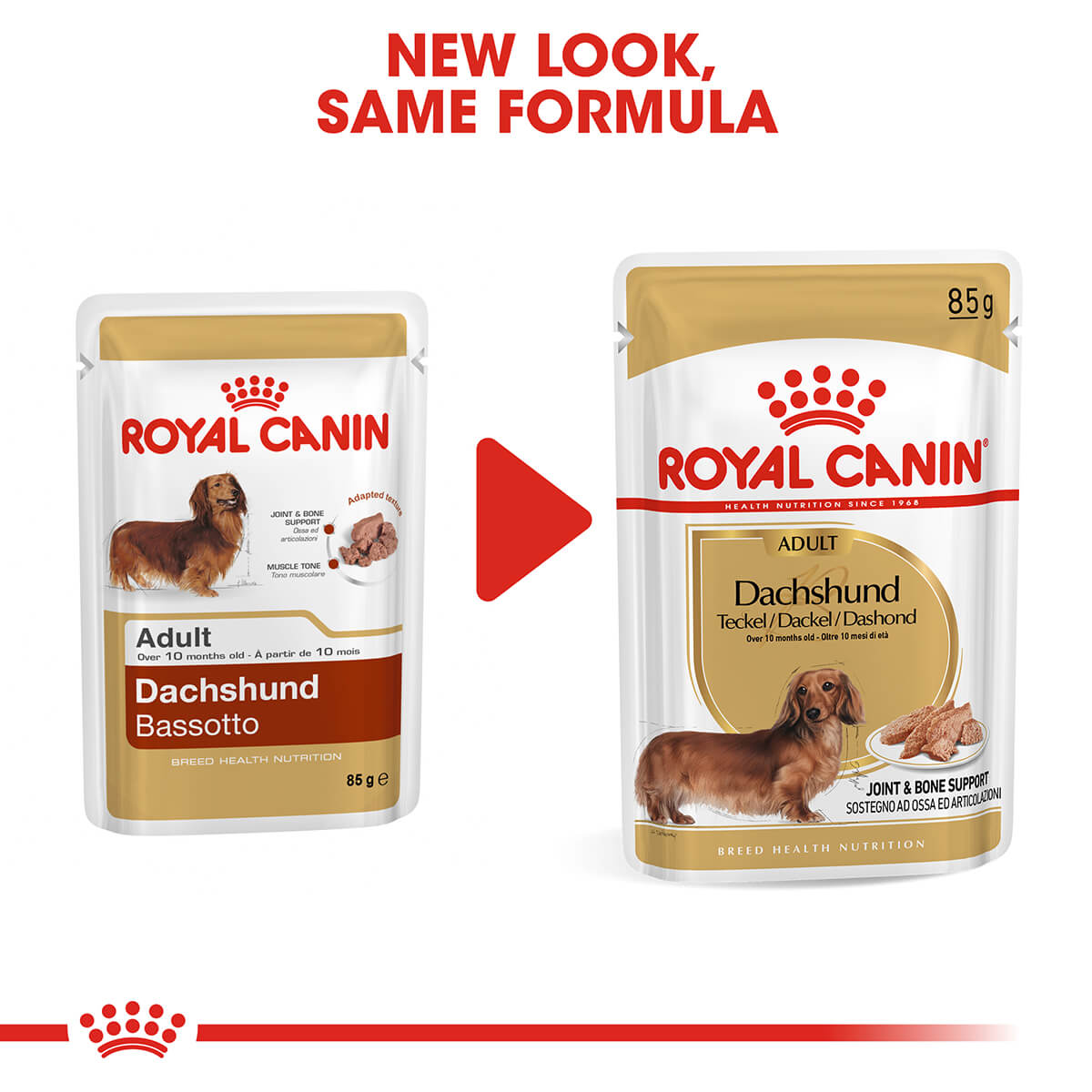 Royal Canin Dachshund Adult Wet Dog Food 85g