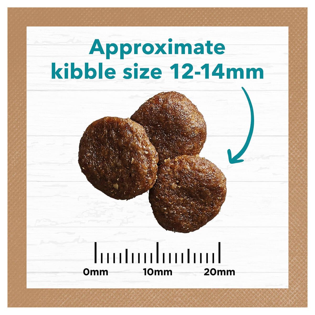 Ivory Coat Grain Free Adult Ocean Fish & Salmon Dry Dog Food