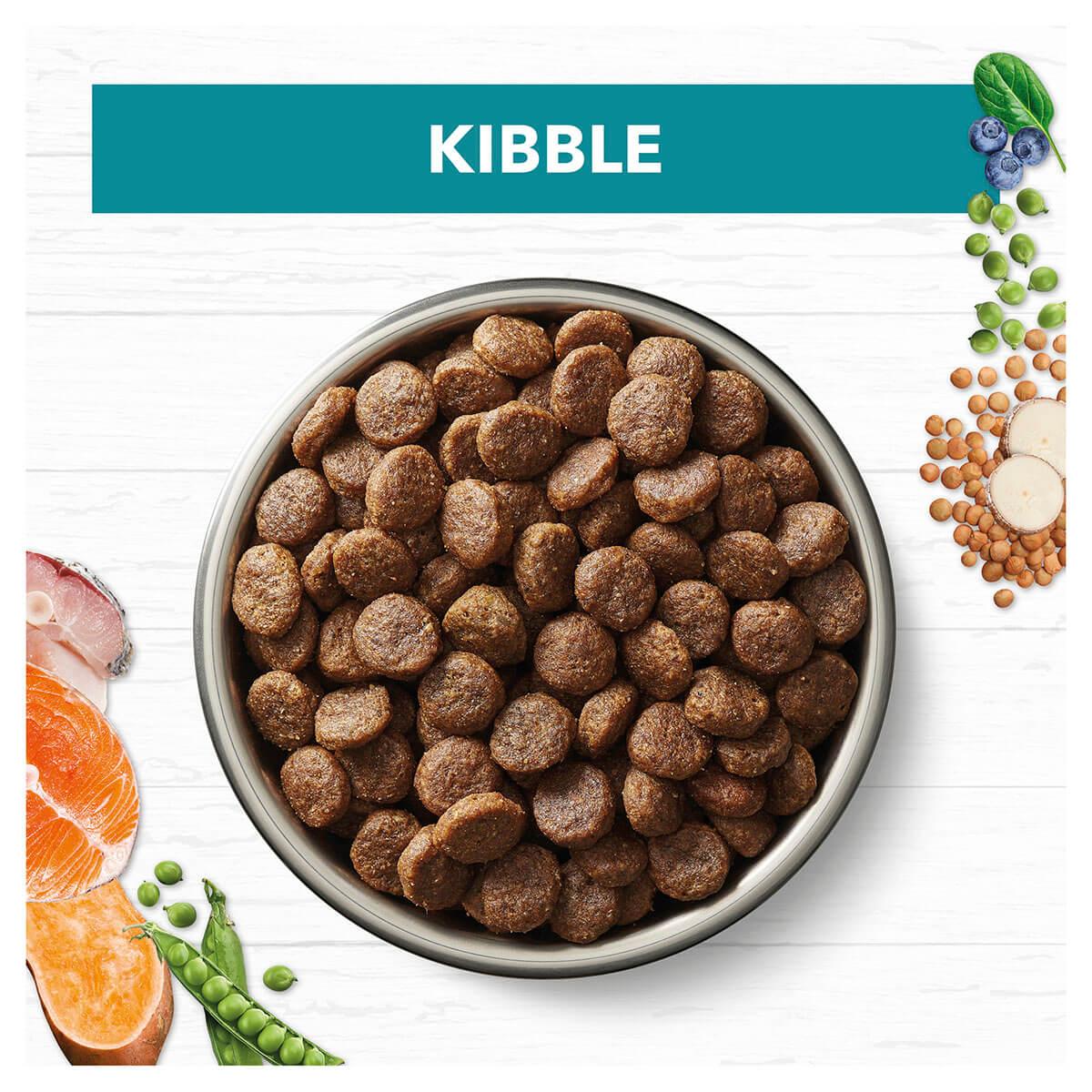 Ivory Coat Grain Free Adult Ocean Fish & Salmon Dry Dog Food