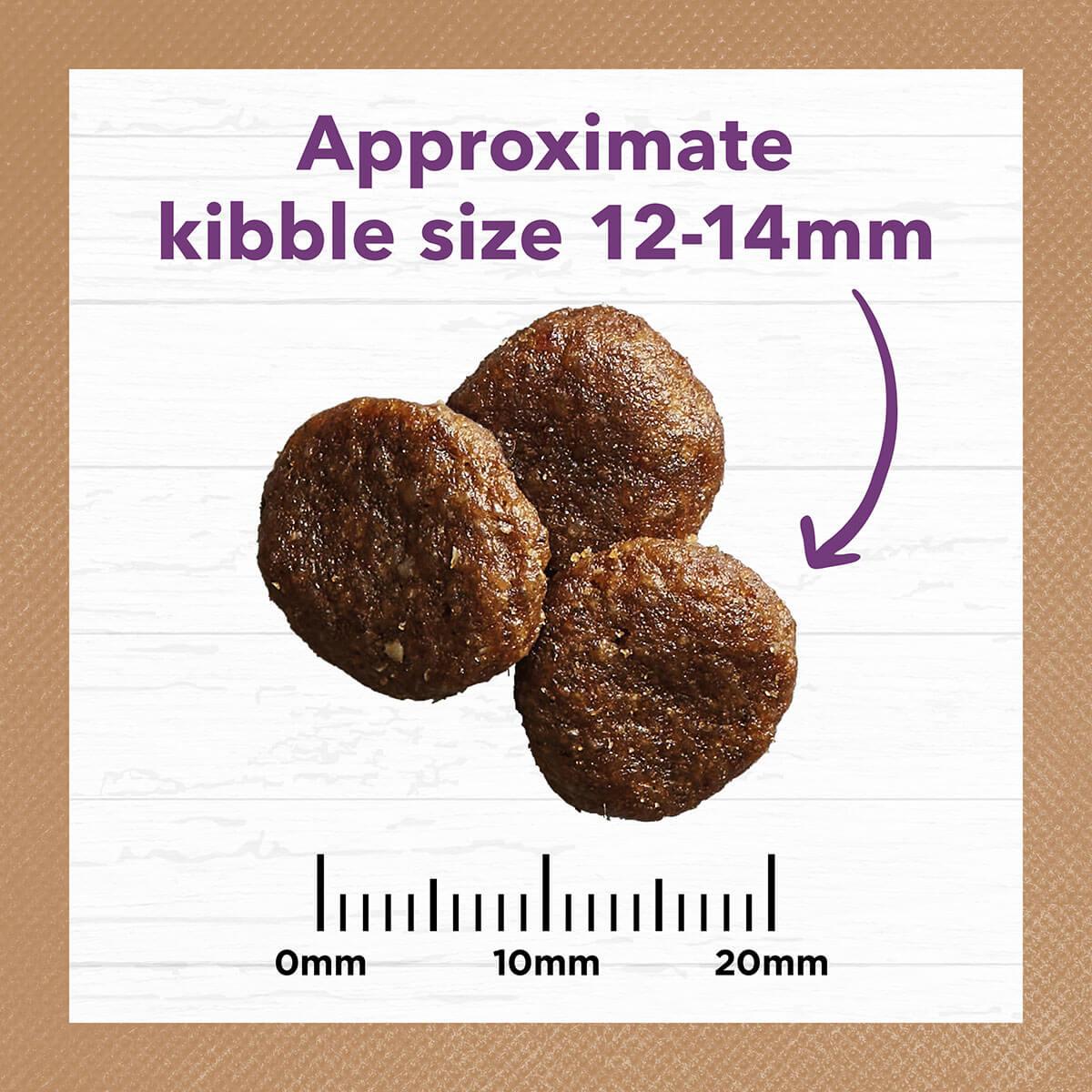 Ivory Coat Grain Free Fat Reduced Senior Turkey Dry Dog Food