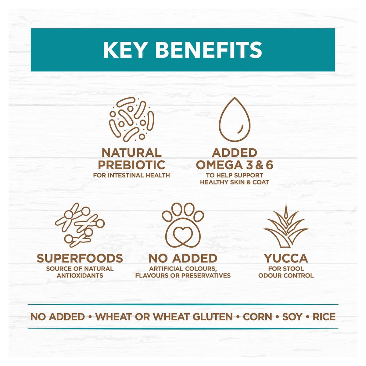 Ivory Coat Grain Free Adult Ocean Fish & Salmon Dry Dog Food