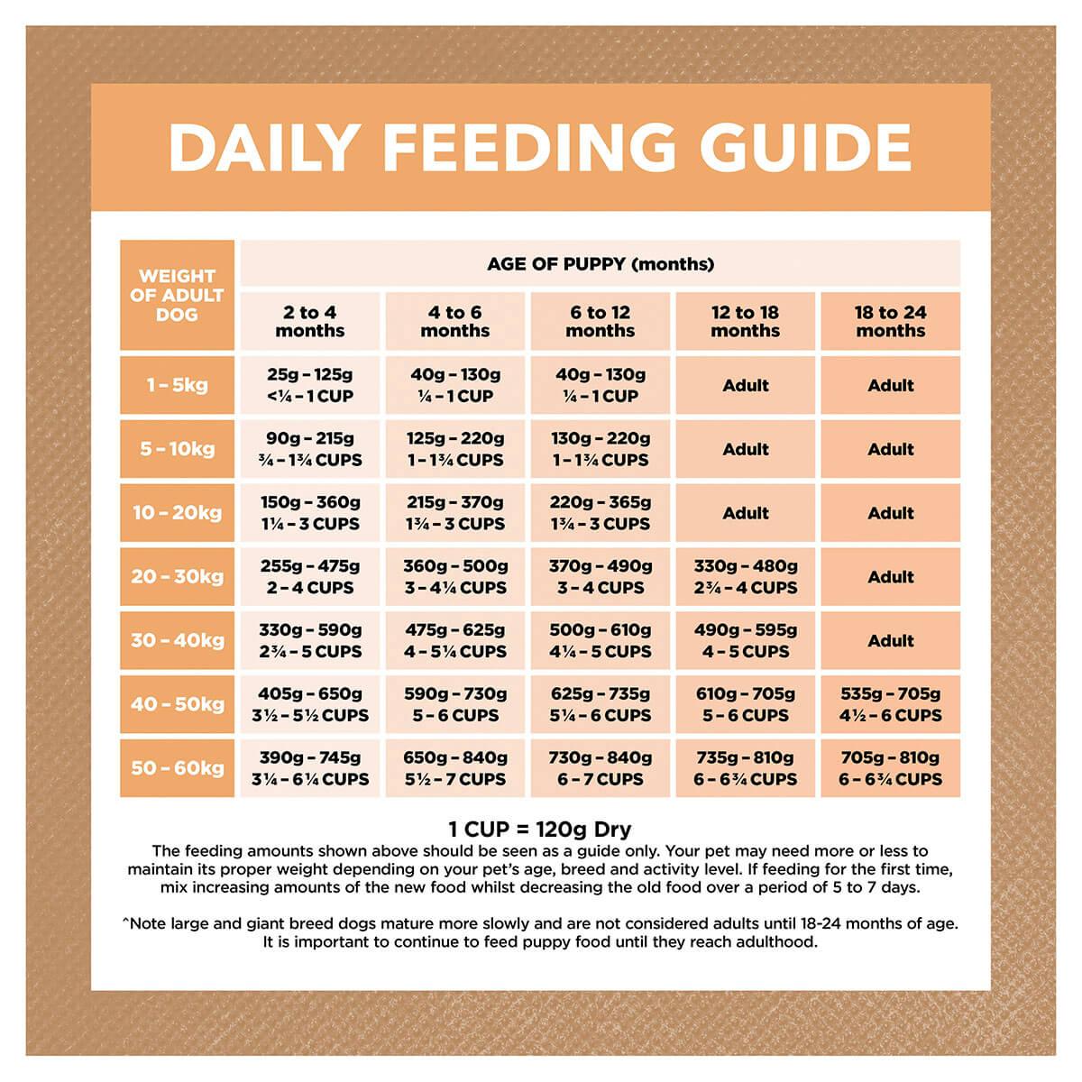 Ivory Coat Grain Free Puppy Chicken Dry Dog Food