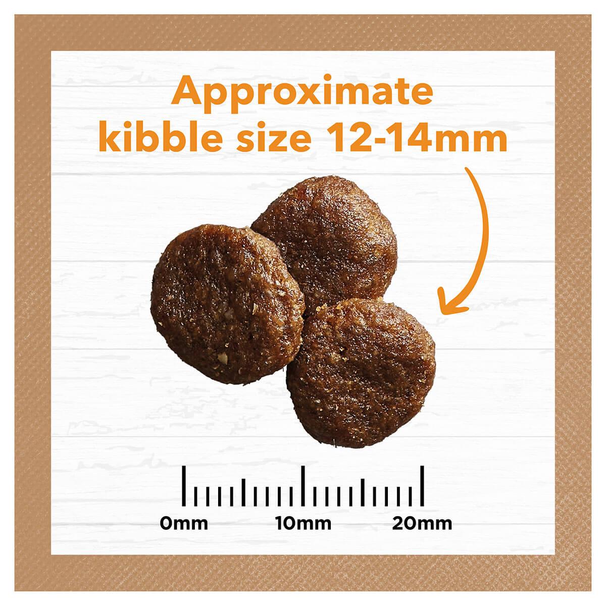 Ivory Coat Grain Free Adult Chicken & Coconut Oil Dry Dog Food