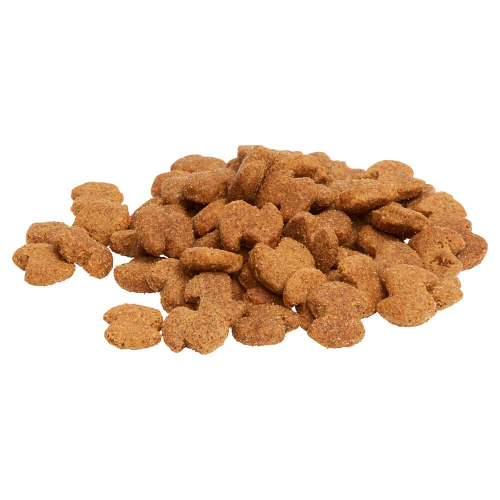 Eukanuba Large Breed Senior Dry Dog Food