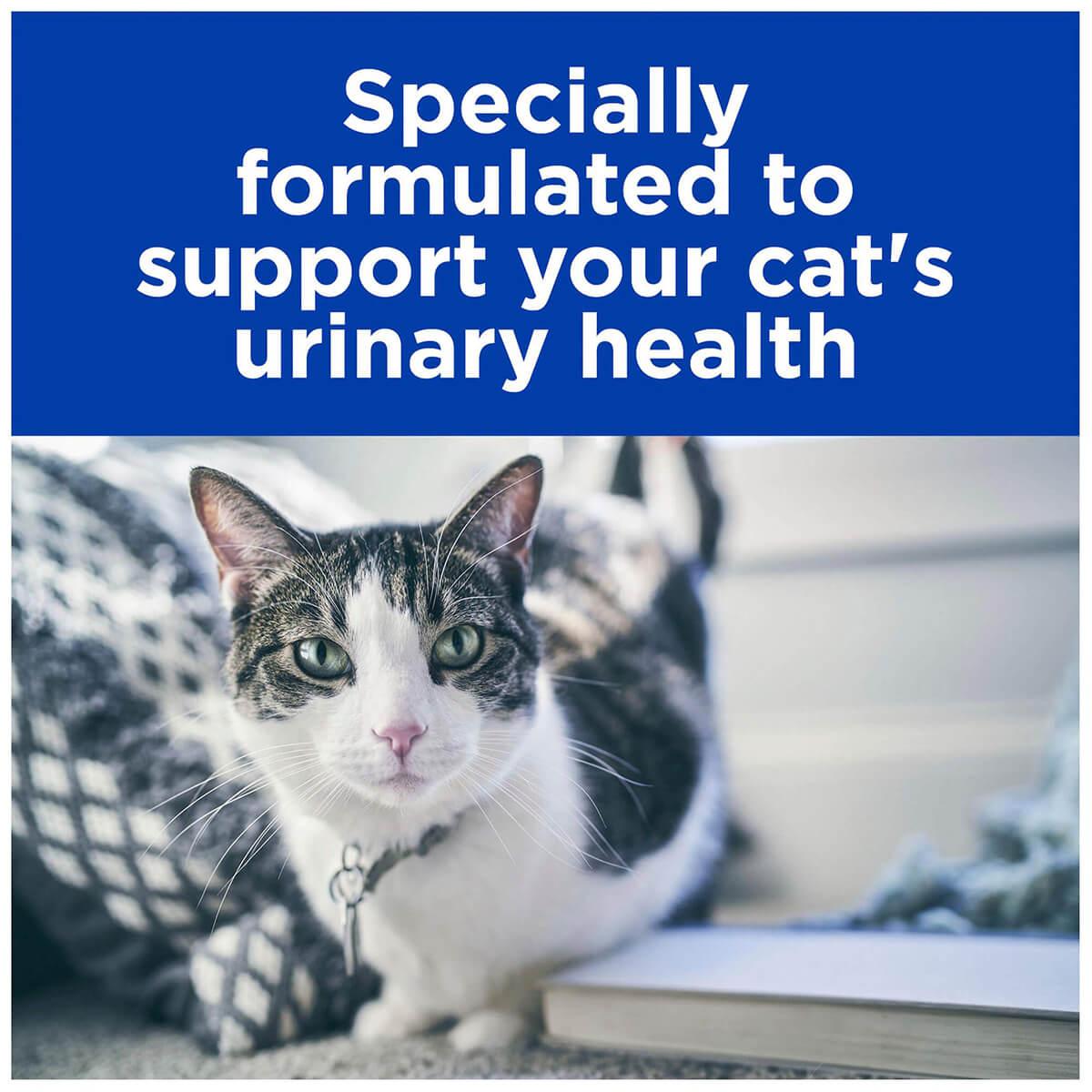 Hill's Prescription Diet C/D Multicare Chicken Pouches Wet Cat Food
