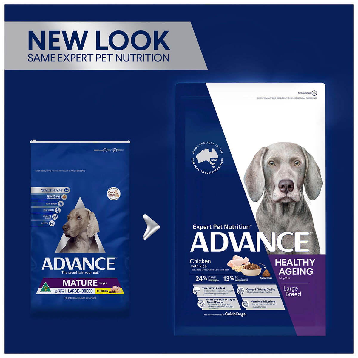 Advance Mature Large Plus Chicken Dry Dog Food