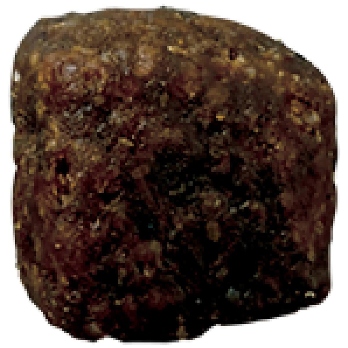 Advance Adult Terrier Dry Dog Food