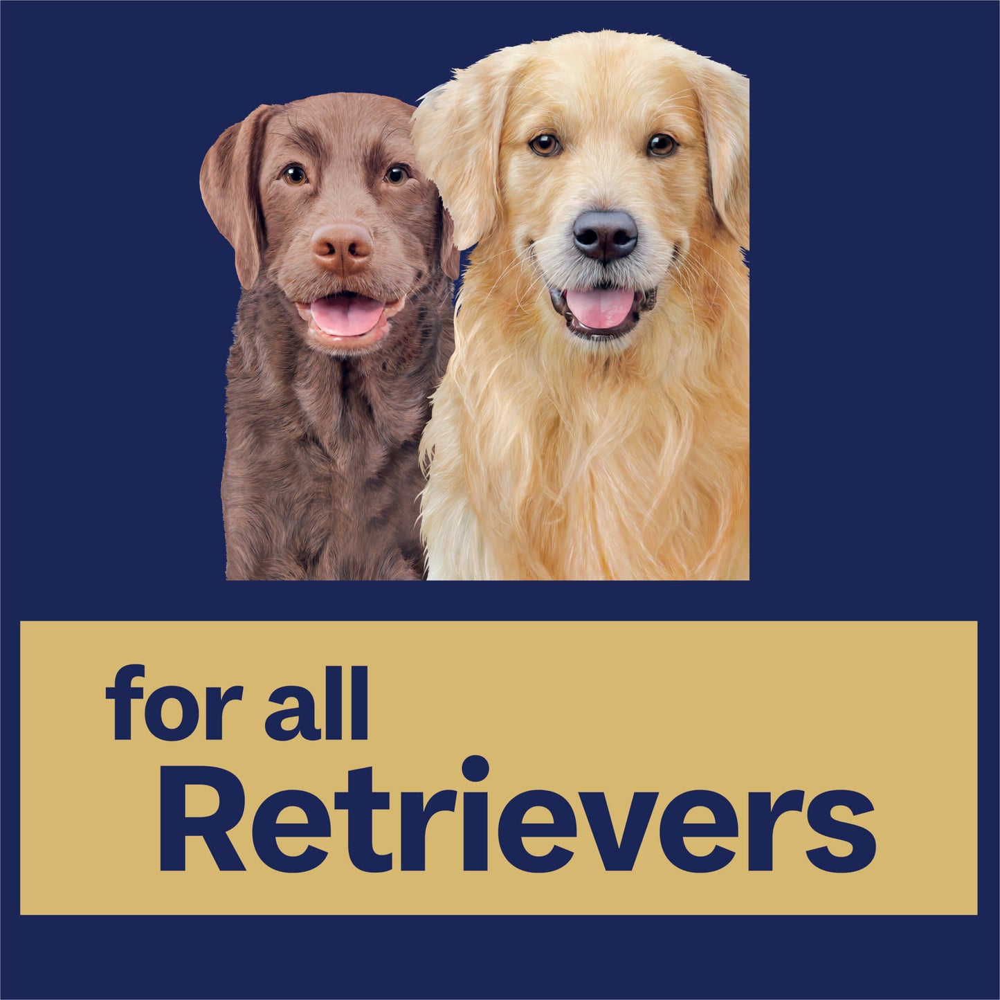 Adult Large Breed Retriever Dry Dog Food Chicken And Salmon