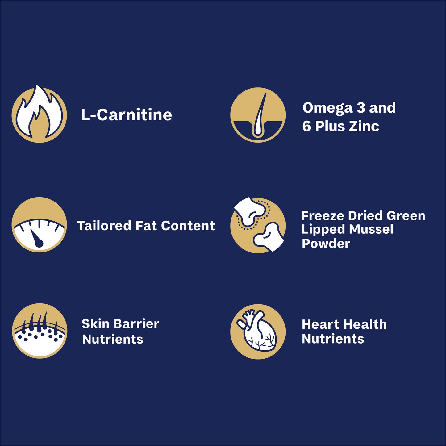 Adult Large Breed Retriever Dry Dog Food Chicken And Salmon