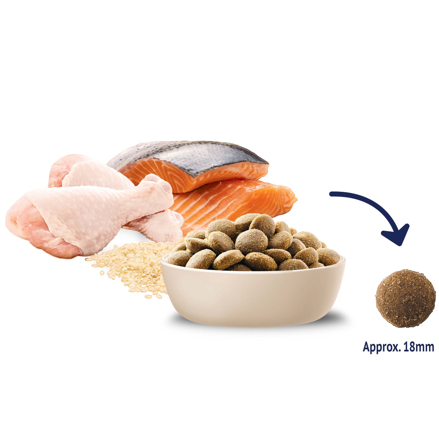 Adult Large Breed Retriever Dry Dog Food Chicken And Salmon