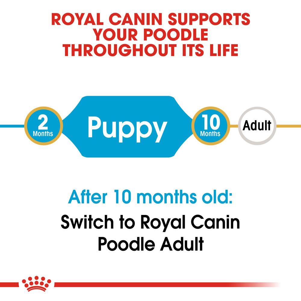 Royal Canin Poodle Puppy Dry Dog Food