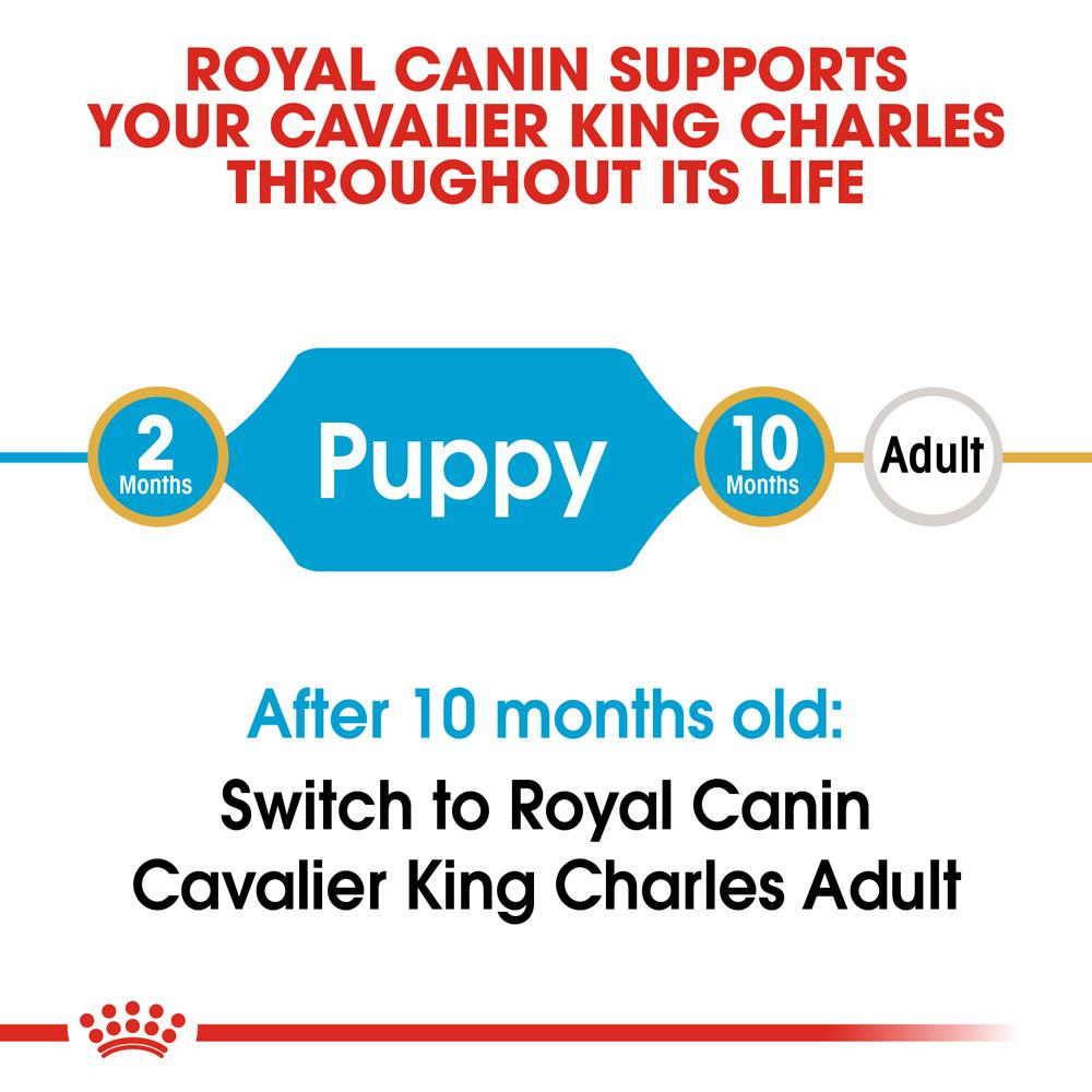 Royal Canin Cavalier King Charles Puppy Dry Dog Food