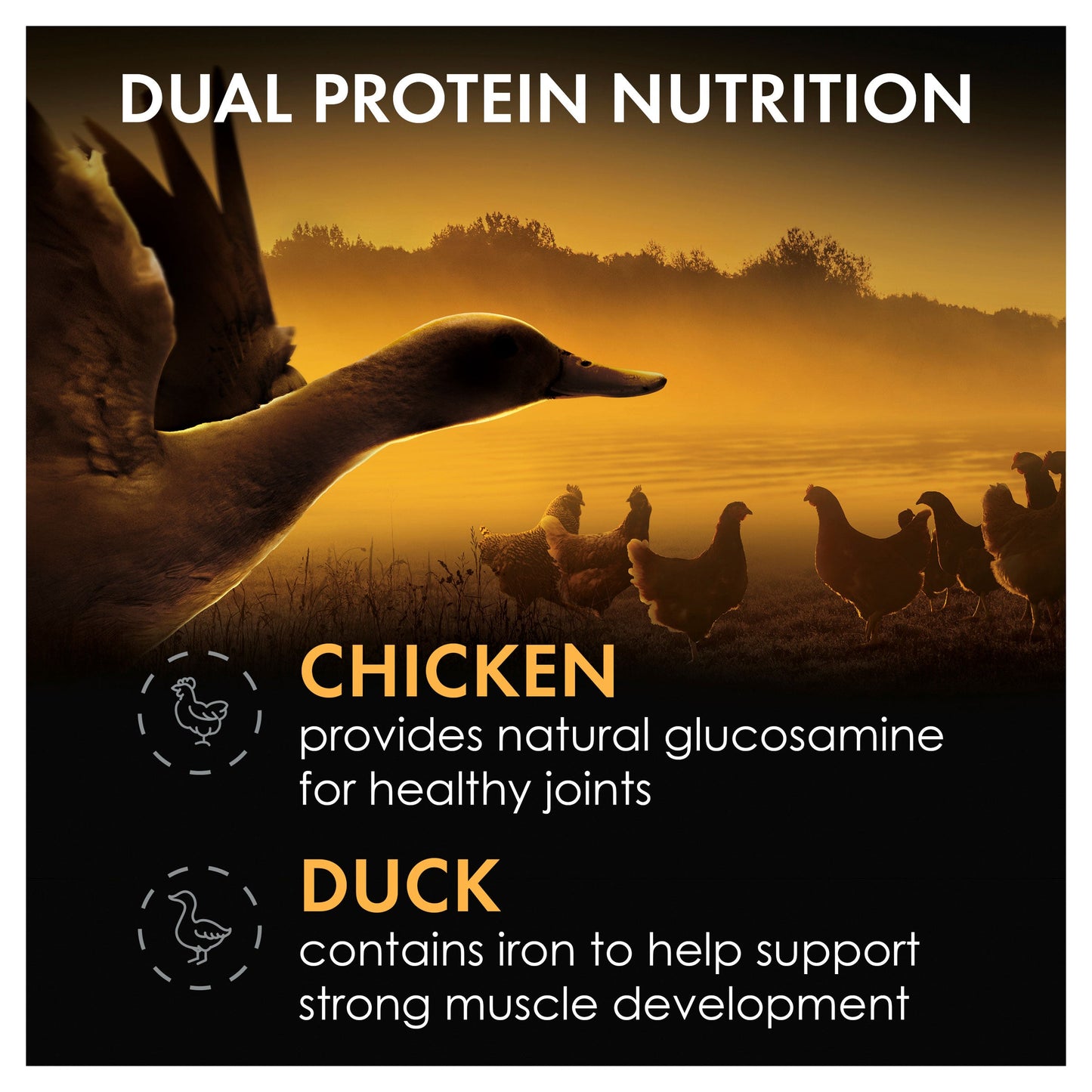 Supercoat True Origin Chicken & Duck Dry Dog Food