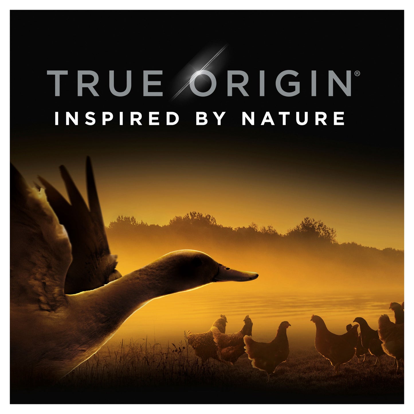 Supercoat True Origin Chicken & Duck Dry Dog Food