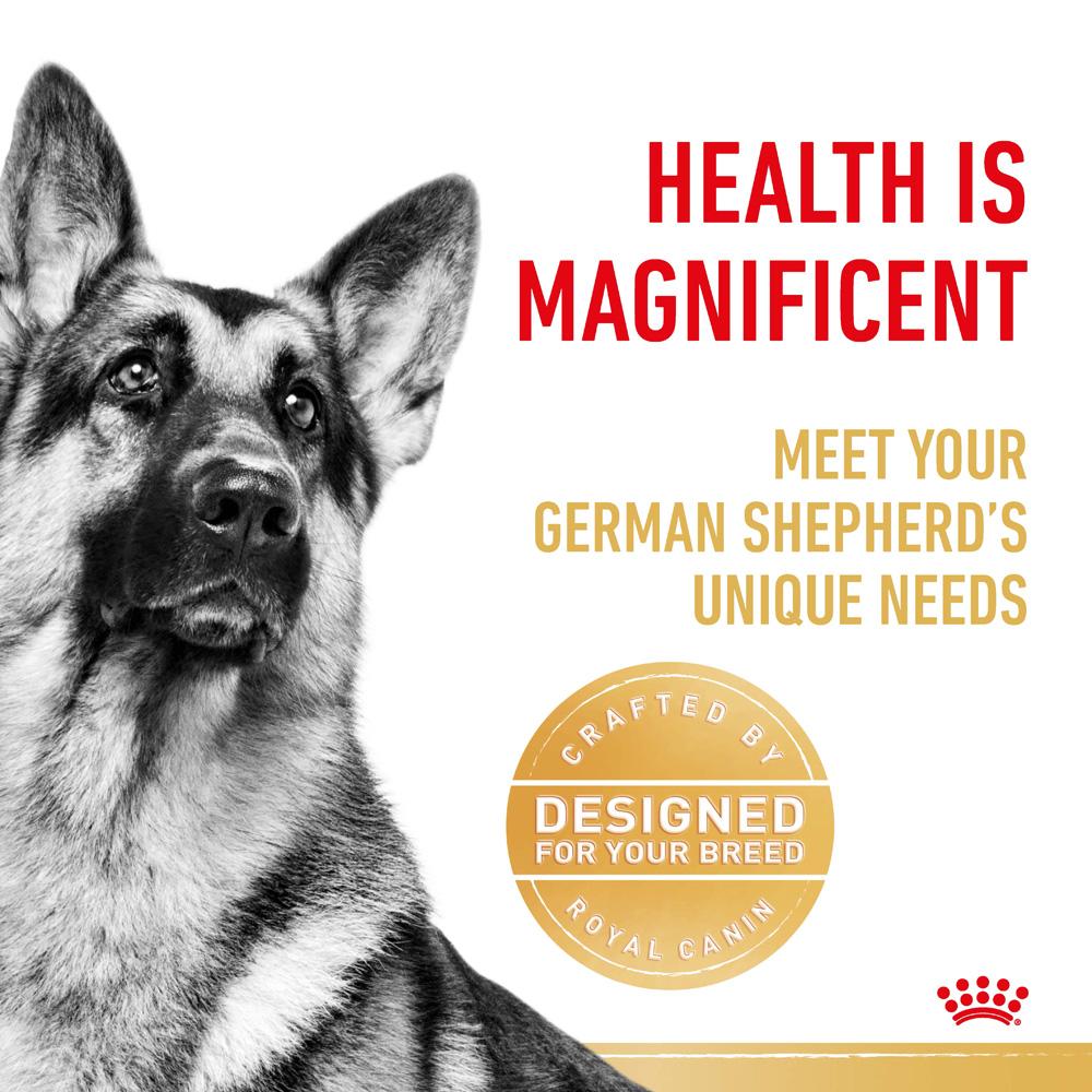 Royal Canin German Shepherd Adult Dry Dog Food
