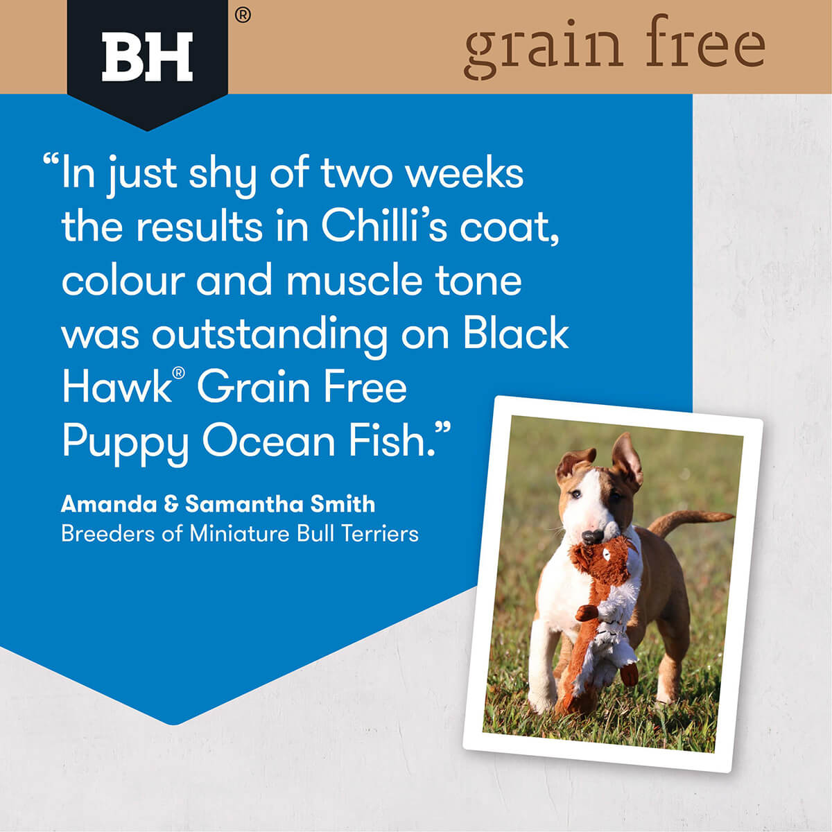Black Hawk Grain Free Wild Caught Ocean Fish Dry Puppy Food