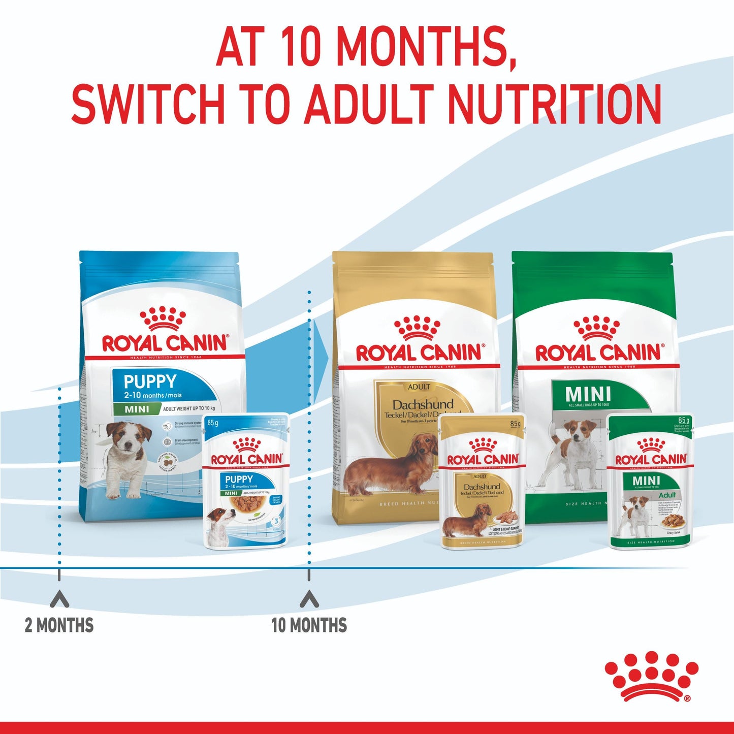 Royal Canin Mini Puppy Wet Dog Food
