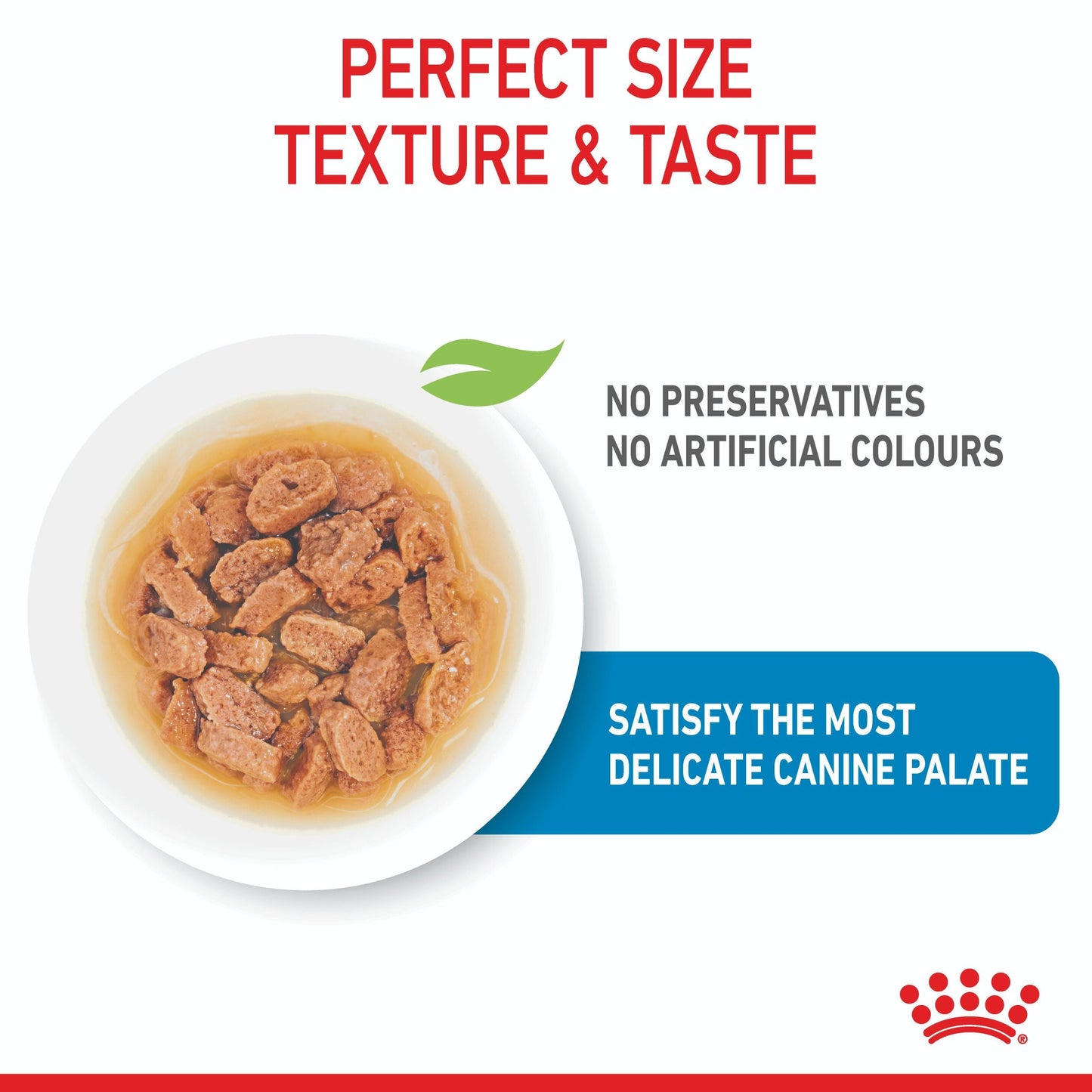 Royal Canin Mini Puppy Wet Dog Food