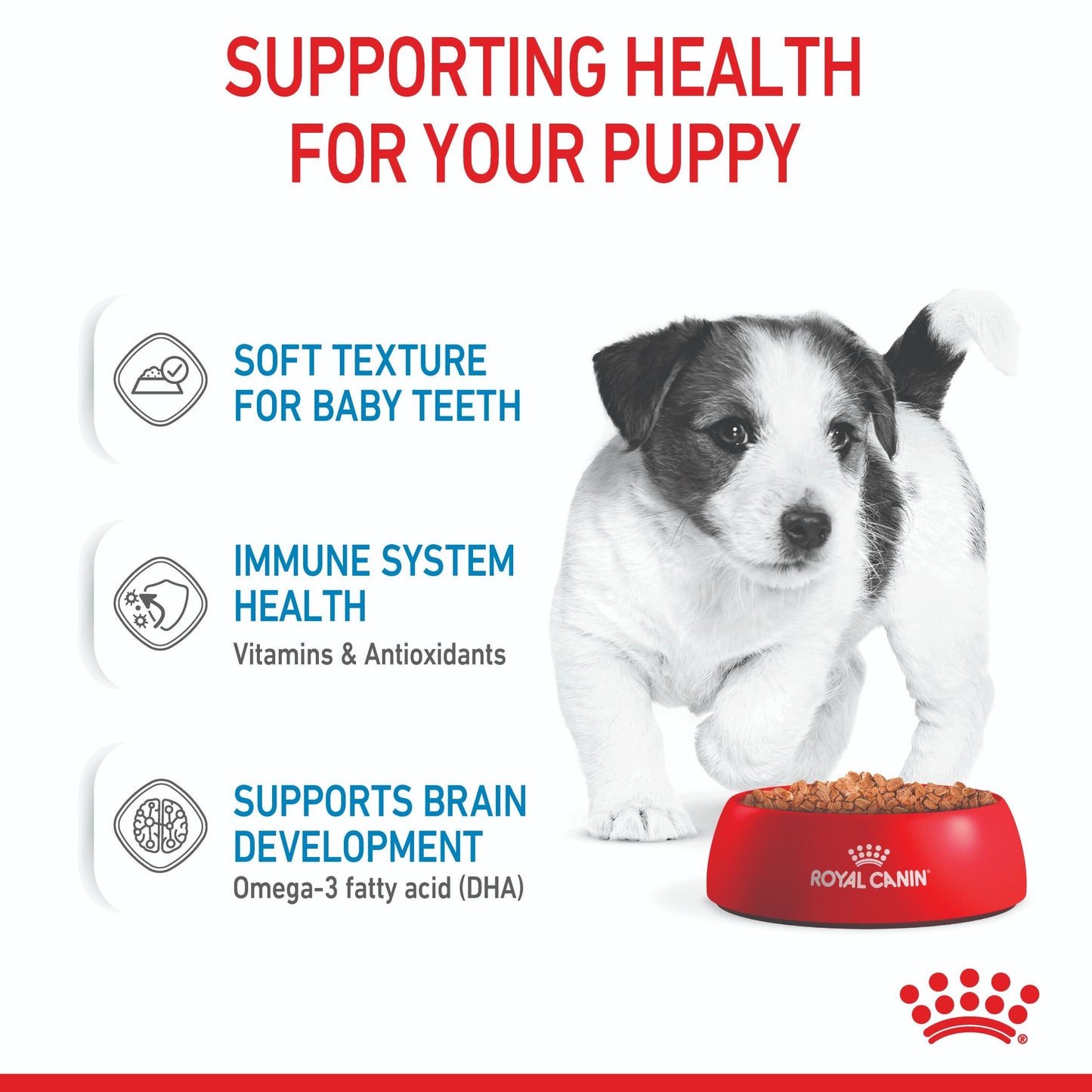 Royal Canin Mini Puppy Wet Dog Food