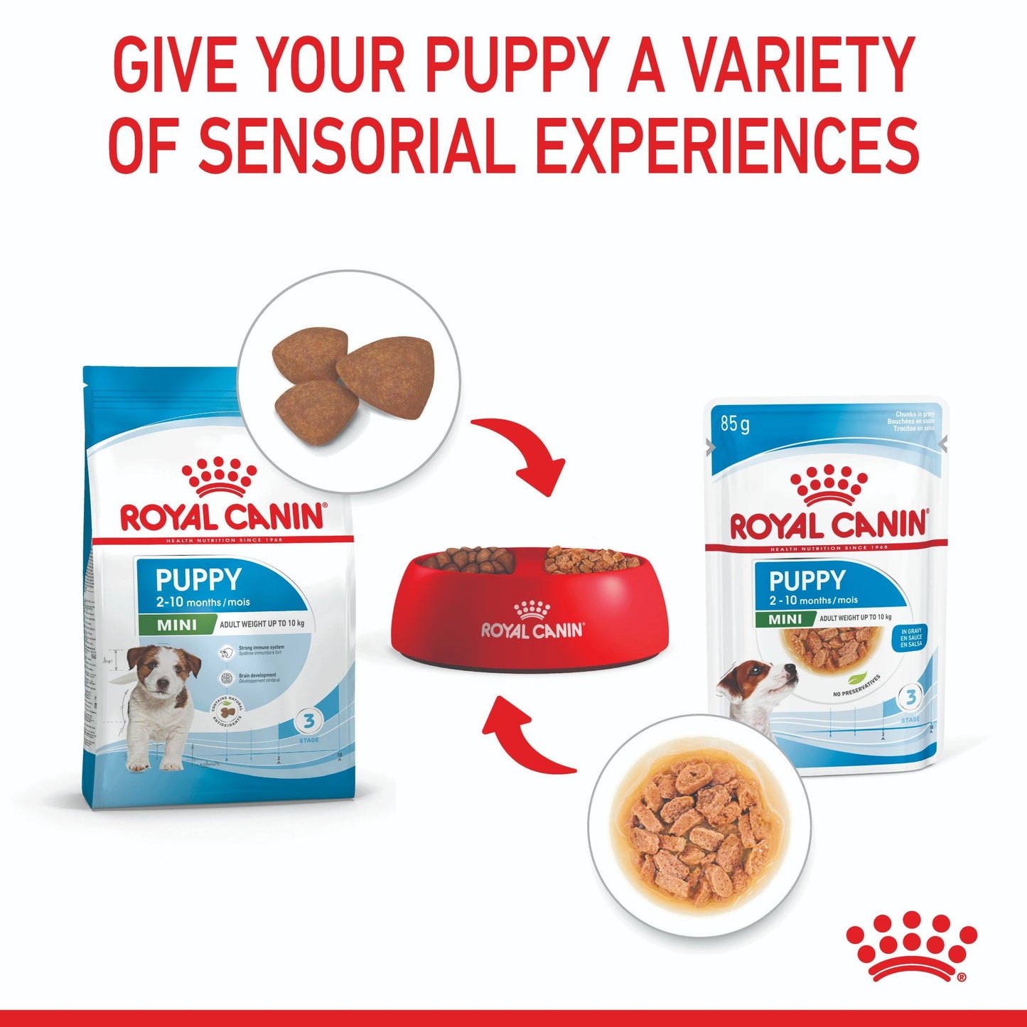 Royal Canin Mini Puppy Wet Dog Food
