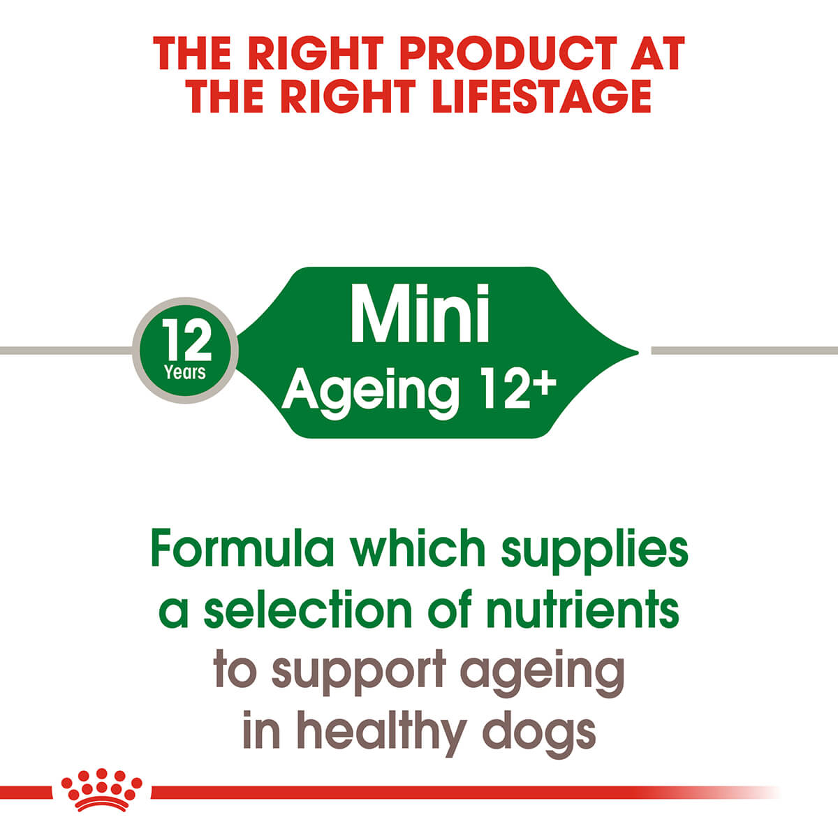 Royal Canin Mini Ageing Senior Wet Dog Food