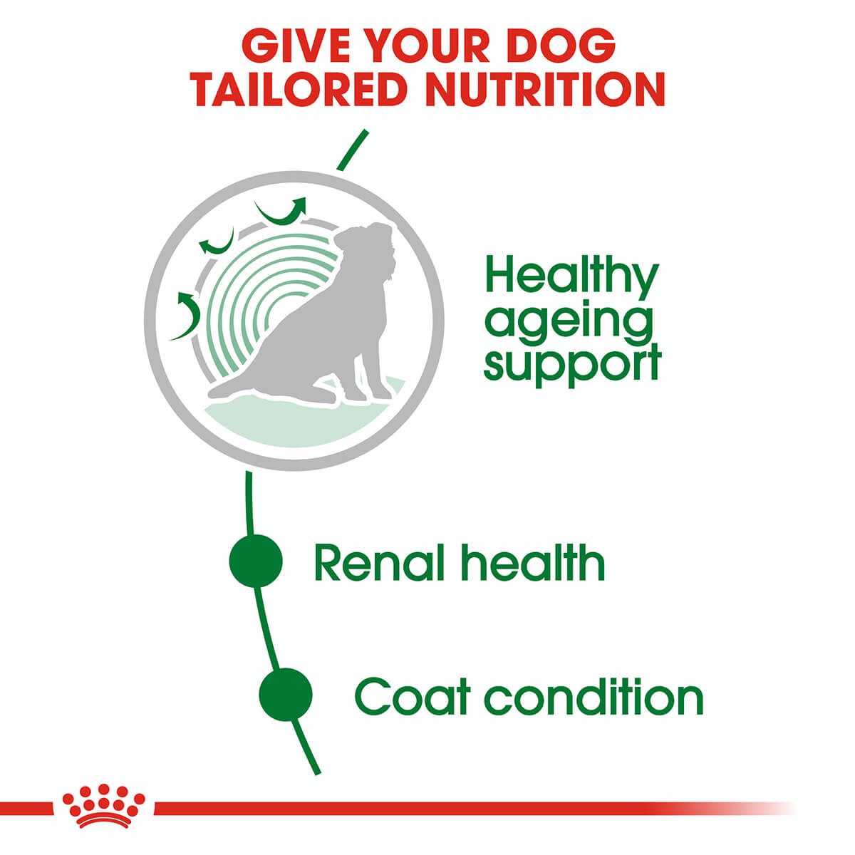 Royal Canin Mini Ageing Senior Wet Dog Food