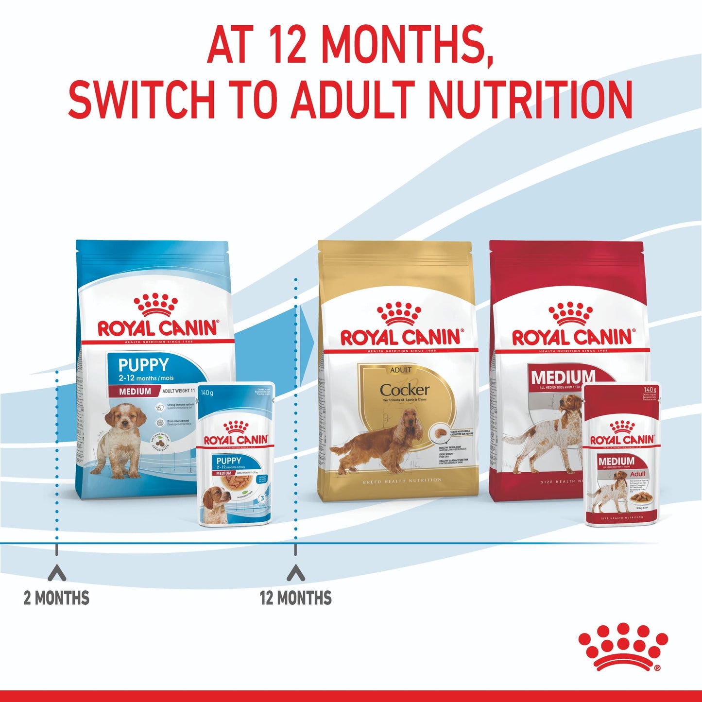Royal Canin Medium Puppy Wet Dog Food