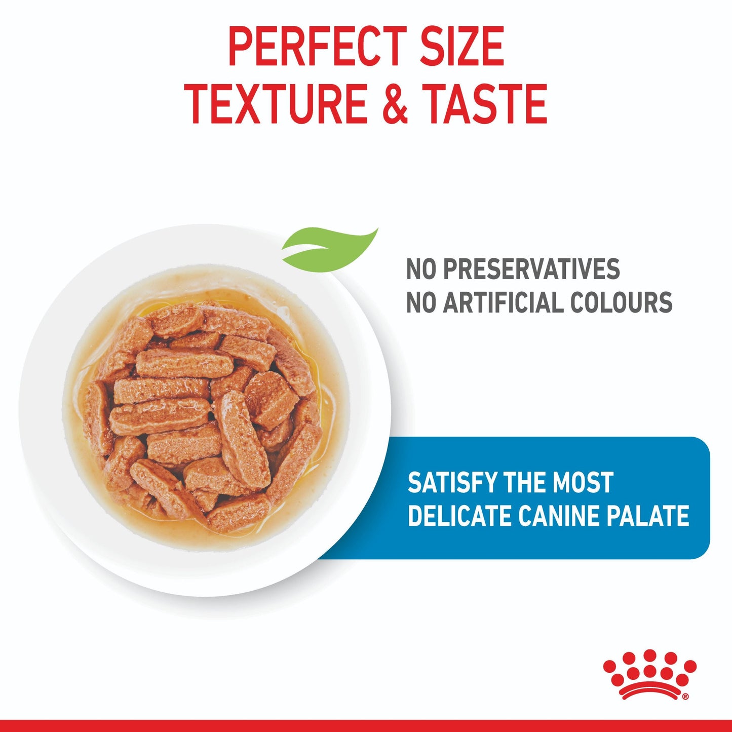 Royal Canin Medium Puppy Wet Dog Food