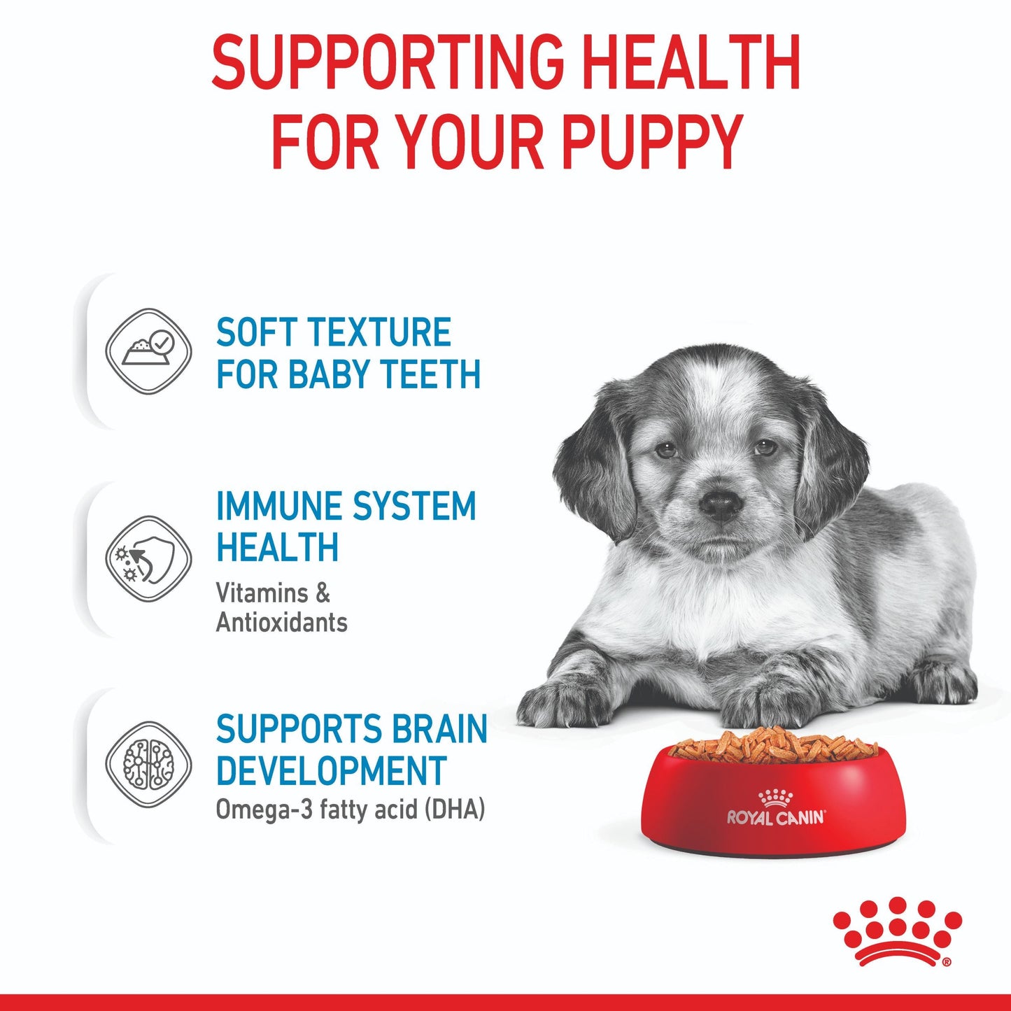 Royal Canin Medium Puppy Wet Dog Food